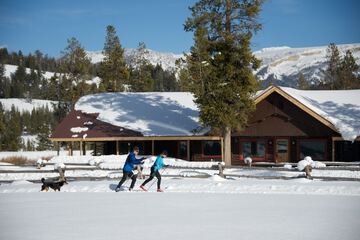 Snow and ski sports