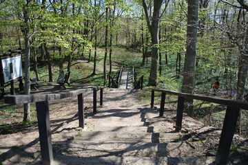 Hiking