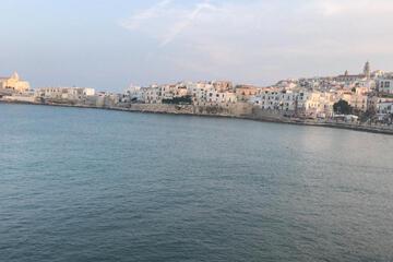 Photo 49