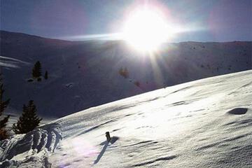 Photo 46