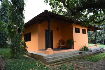 Photo 56