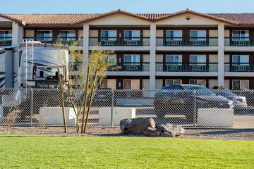 Pet-friendly amenities