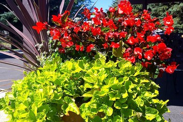 Hotel Exterior 52 of 60