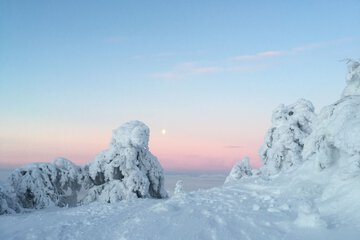 Snow and ski sports