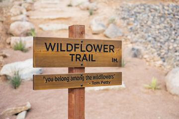 Hiking