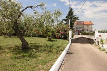 Photo 38