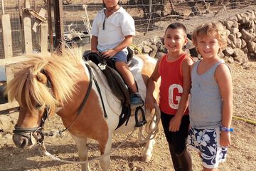 Horseback riding