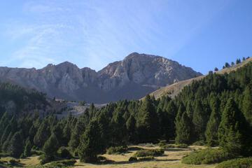 Photo 30