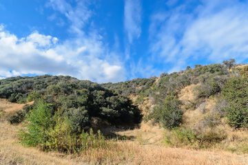 Hiking