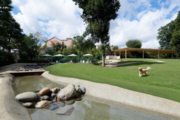 Pet-friendly amenities