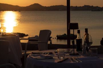 Couples dining