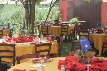Outdoor wedding area