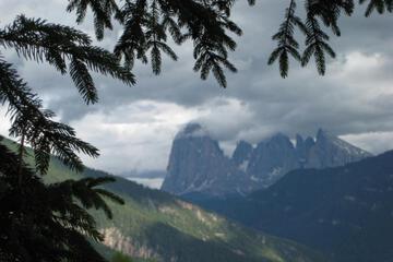 Photo 45