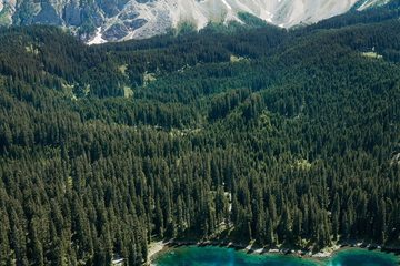 Lake view