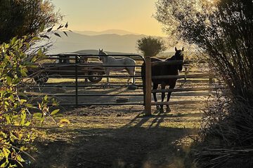 Horseback riding