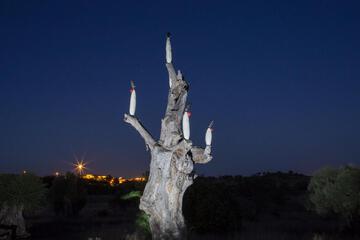 Photo 36
