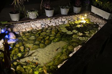 Lake