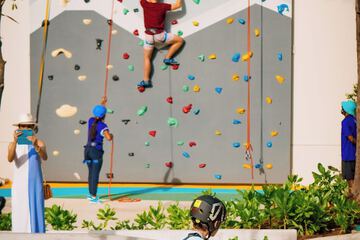 Rock climbing wall - indoor