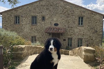 Pet-friendly amenities