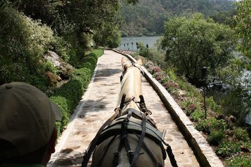 Horseback riding