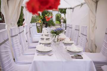 Outdoor wedding area