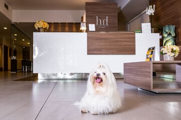 Pet-friendly