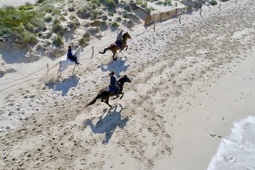 Horseback riding