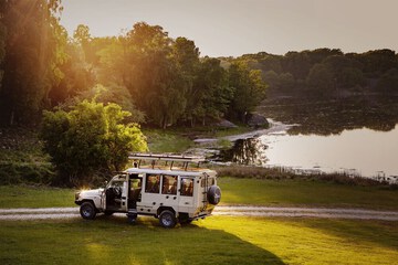 Safari