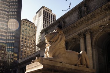 City view from property