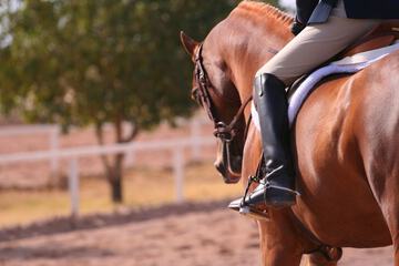 Horseback riding