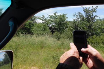 Game viewing