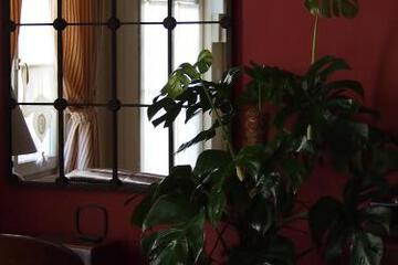 Photo 36