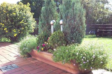 Photo 85