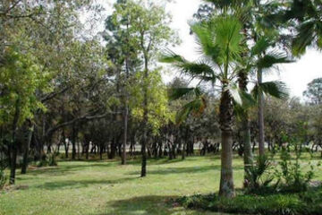 Photo 35