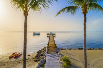 Dock