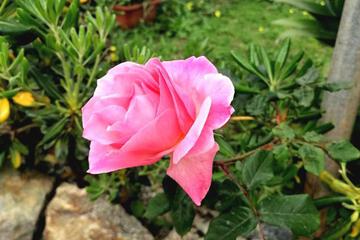 Photo 27