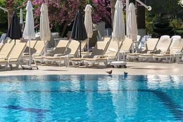 Sundeck