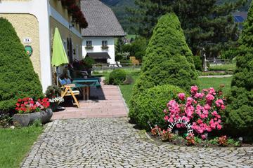 Photo 46