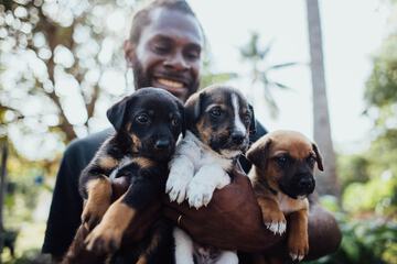 Pet-friendly