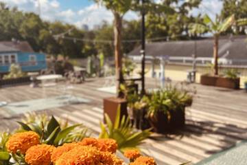 Terrace/Patio 52 of 58