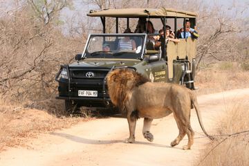 Game drive