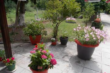 Photo 44