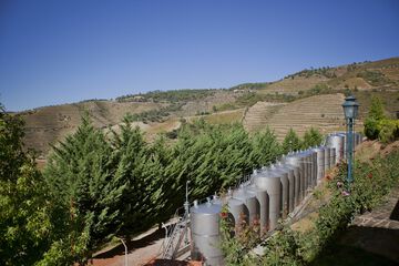 Land view from property