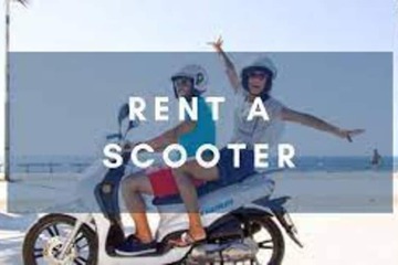 Scooter/moped