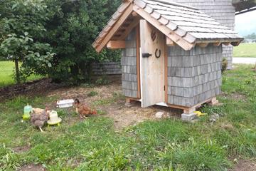 Photo 36