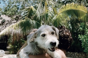 Pet-friendly amenities