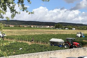 Land view from property