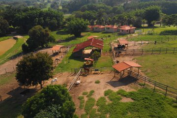 Children's activities