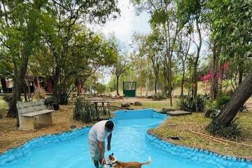Pet-friendly amenities