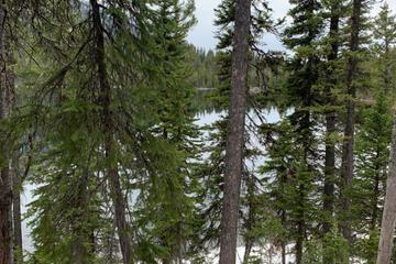 Photo 45